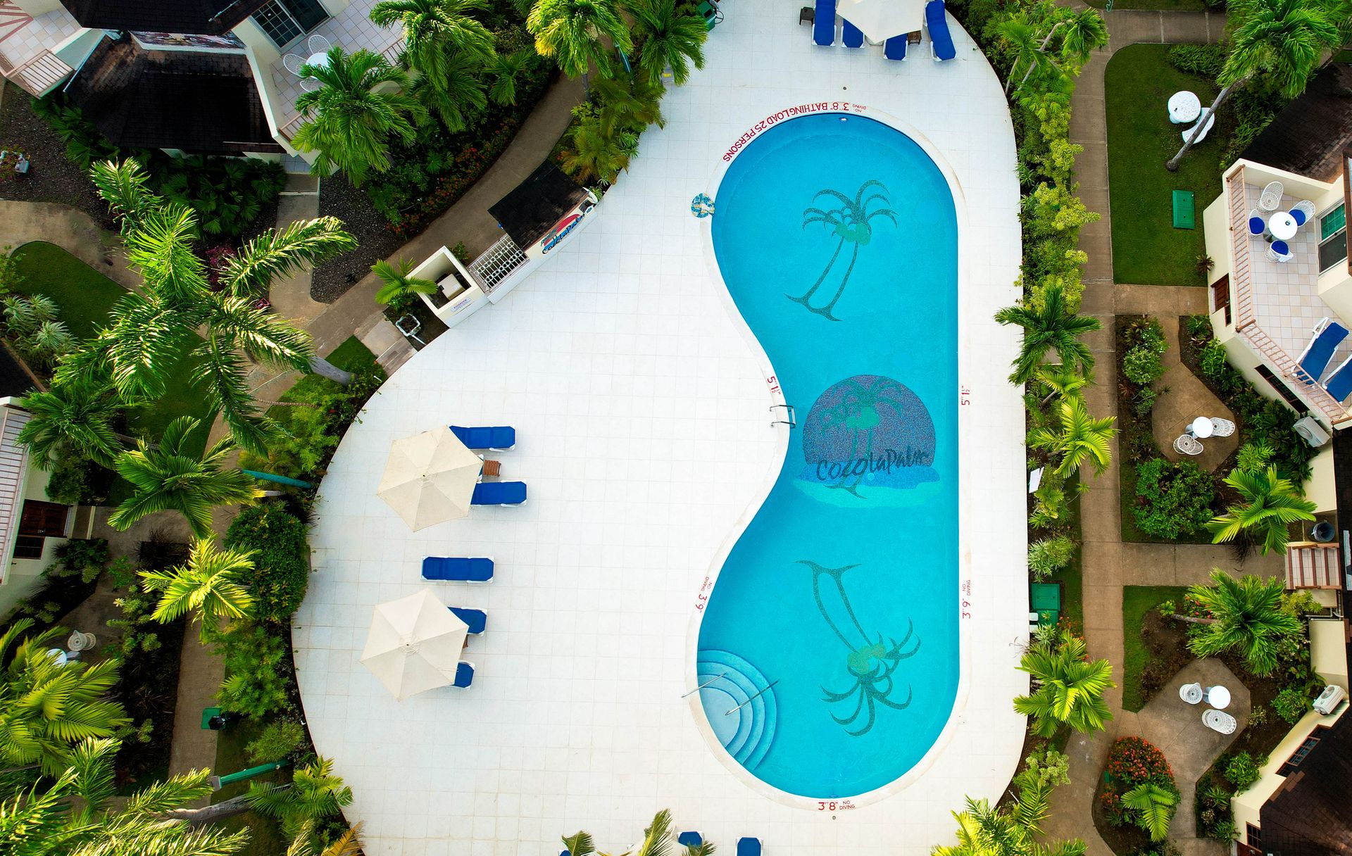CocoLaPalm's main courtyard swimming pool surrounded by tropical gardens